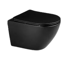 Asian Paints Wall Mounted Water Closet